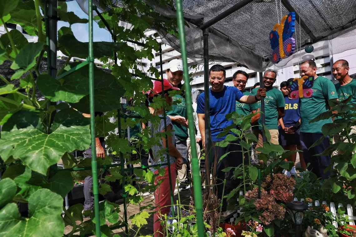 National Development Minister Desmond Lee visiting a garden plot on the multi-storey carpark rooftop garden at Block 673 Jurong West Street 65 on June 25.