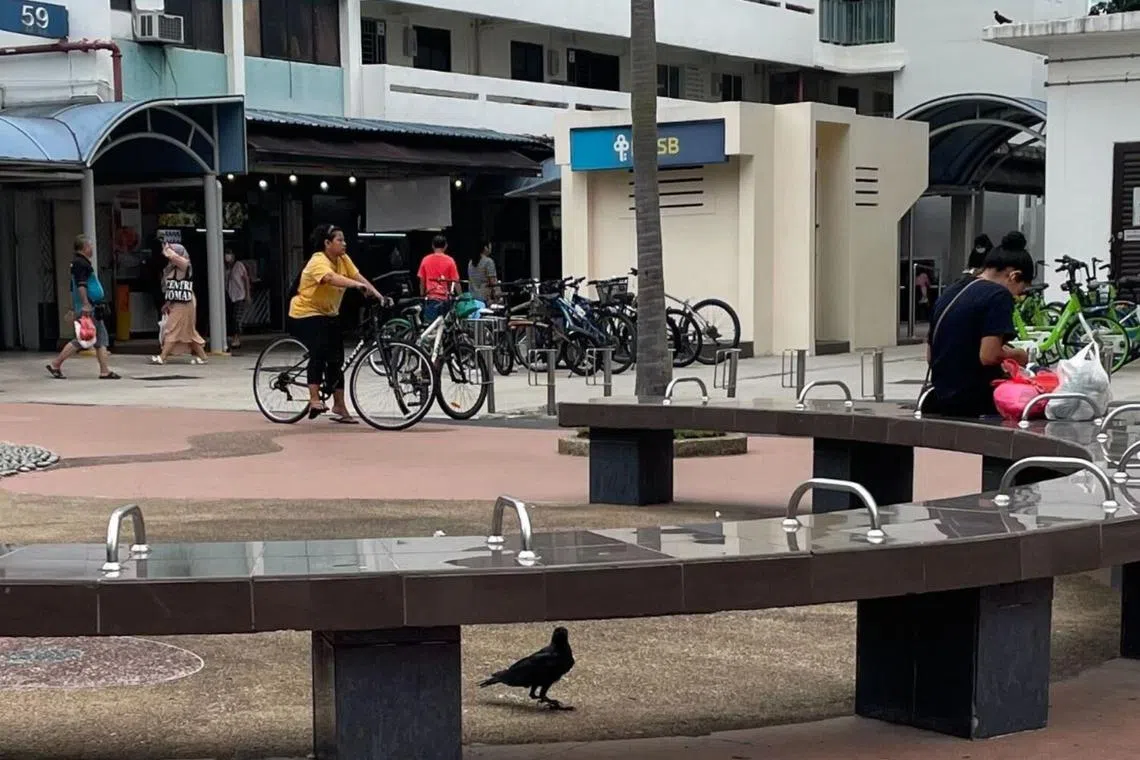The crow attacked the boys - aged two and five - at an open-air space between 50A Marine Terrace Market and Block 59.