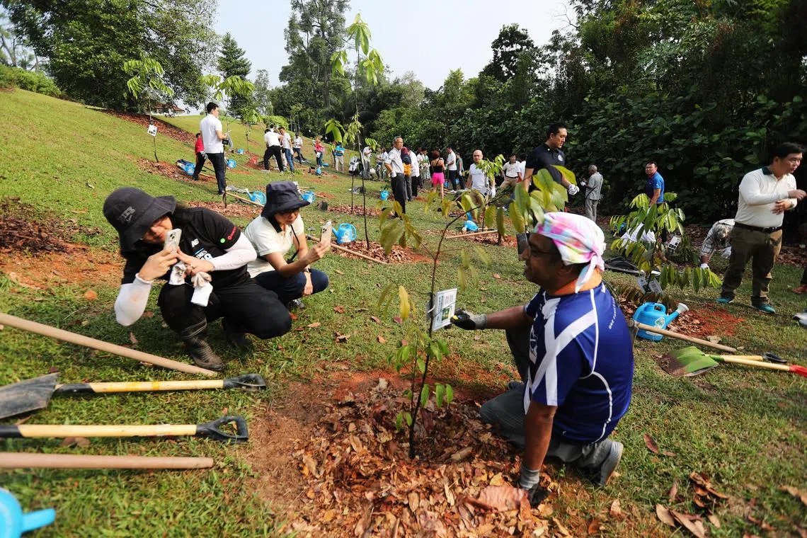 The National Parks Board (NParks) commemorates 60 years since founding Prime Minister Mr Lee Kuan Yew kickstarted Singapore’s nationwide greening campaign. To commemorate
the occasion, 60 trees will be planted on 15 April 2023 by residents from the five Community Development Councils (CDCs), among other partners.

The event will be hosted by Mr Desmond Lee, Minister for National Development and Minister-in-Charge of Social Services Integration, who will be delivering opening remarks as well as share on the progress of the OneMillionTrees movement. Representatives from the five Community Development Council Districts will also be attending the event.