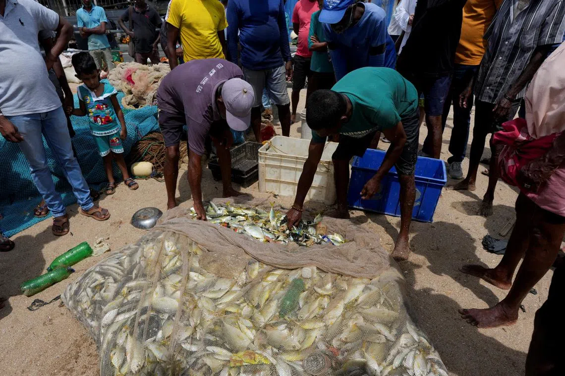 FILE PHOTO: Fishermen separate freshly caught fish from plastic waste in a fishing net at a beach in Galle, Sri Lanka, November 5, 2024. REUTERS/Thilina Kaluthotage/File Photo
