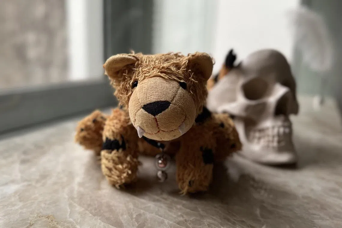 After the writer’s cat died, a stuffed tiger the pet play-fought with was a comforting reminder of her. When carried, its weighted paws made it feel like it was giving a tiny cat hug.