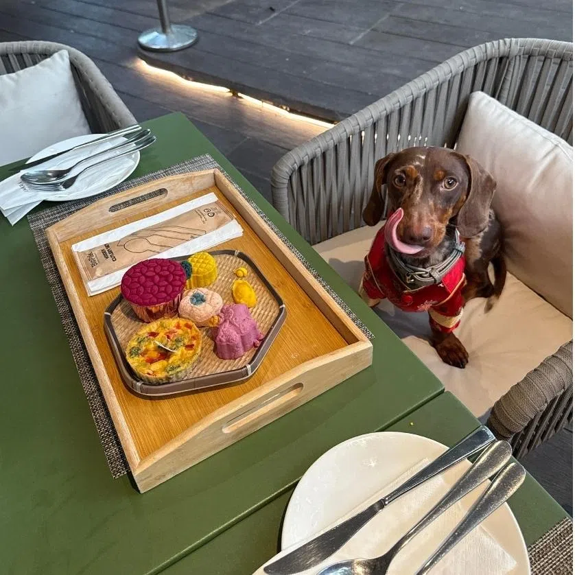 Amara Sanctuary Sentosa is offering a Furkid Fortune High Tea Set and Furkid Fortune Pen Cai this Chinese New Year.