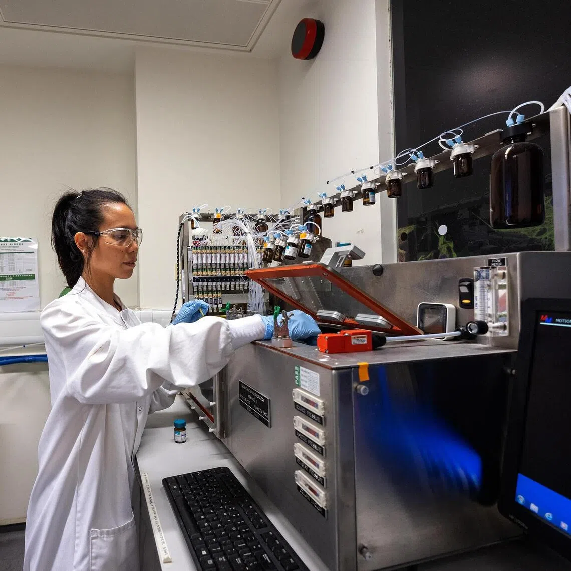 What started off as a summer research project with the Almquist Lab at Imperial College London eventually led Magdalene Ho and her colleagues to develop the smart wound-dressing technology.