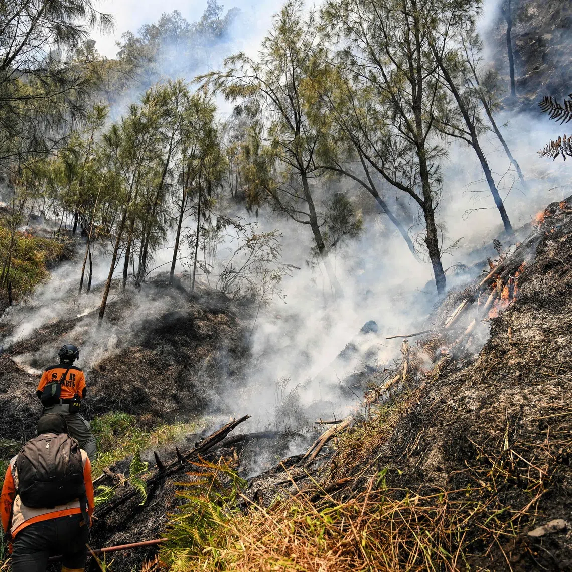 Firefighters battle a wildfire in the Bromo Tengger Semeru National Park near Mount Bromo in Probolinggo, East Java province, on Aug 6. The authorities have closed parts of the park to tourists since Aug 3.