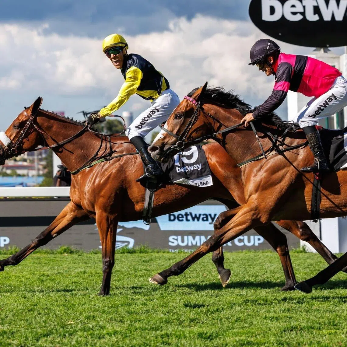 Horse racing: Jockey Tristan Godden yelling his delight as Mocha Blend holds off Olivia’s Way (Andrew Fortune) in a fairer sex 1-2 to South Africa's richest race, the Grade 1 Betway Summer Cup (2,000m) at Turffontein on Nov 29, 2025. The long shot handed both Godden and trainer Frank Robinson their first Grade 1 win.