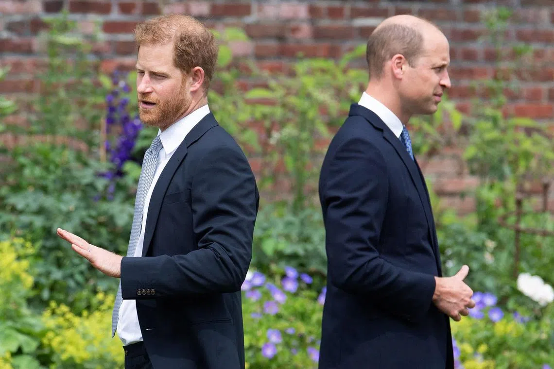 The pettiness and triviality of Prince Harry's (left) complaints reveal the extend of his resentment towards Prince William.