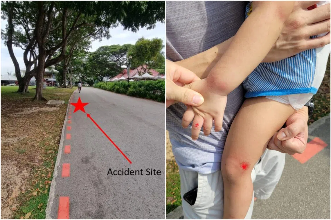 But what was a leisurely stroll on a path used by both cyclists and pedestrians ended terribly when a fast-moving bicycle crashed on them.