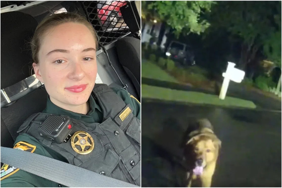 Police officer Devon Miller spotted the brown dog at the side of the road.