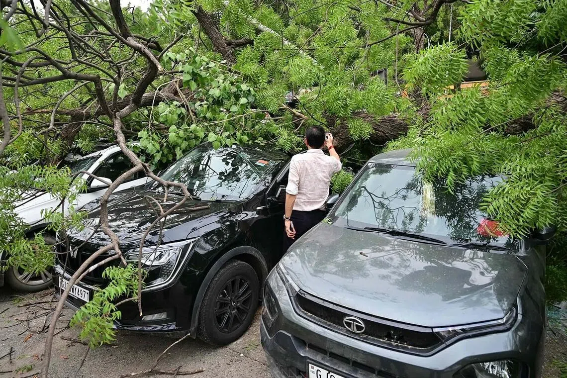 TOPSHOT - A passer-by looks at parked vehicles damaged by uprooted trees following heavy rainfall at the Lal Darwaja marketplace in Ahmedabad on July 8, 2026. (Photo by Shammi MEHRA / AFP)