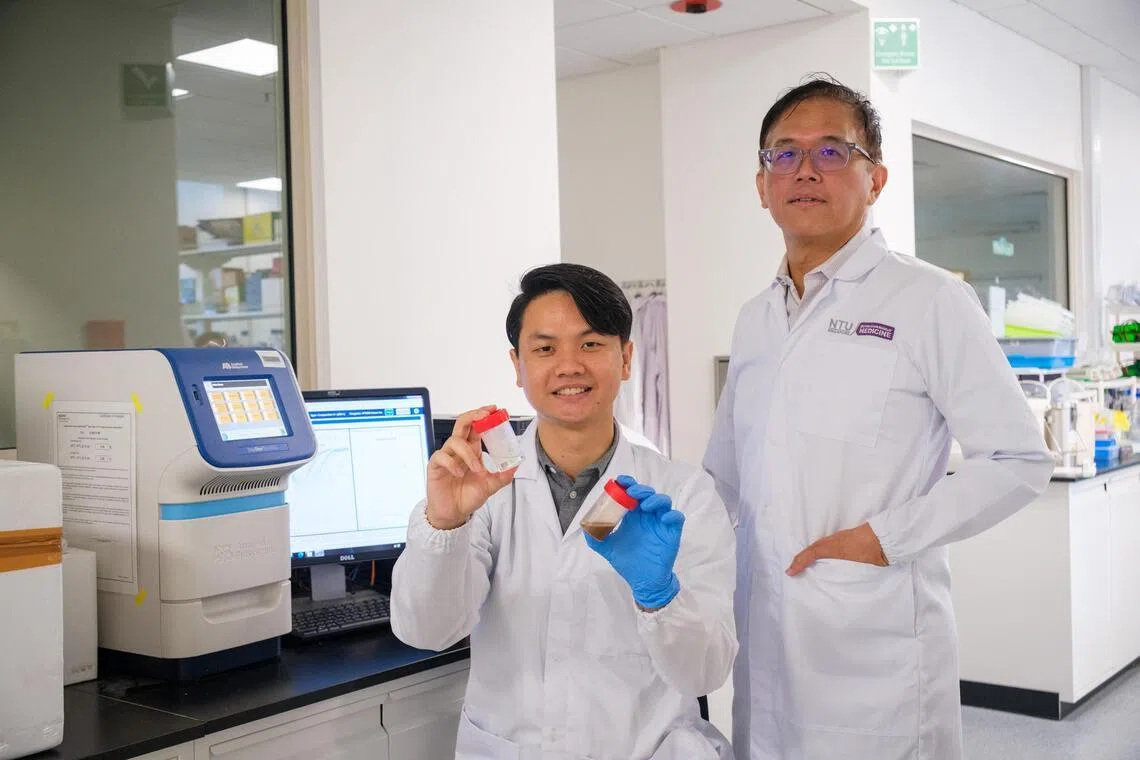 NTU-LKCMedicine researchers Damien Chua, a doctorate student (left), and Associate Professor Andrew Tan, the Provost's Chair in Metabolic Disorder at LKCMedicine, found a protein in stool that links diet, gut bacteria, and liver health. It could help prevent the early stages of fatty liver disease.