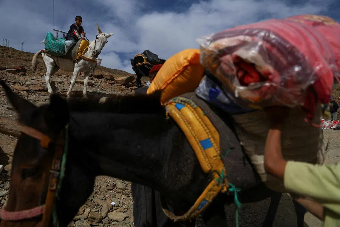 Men loading aid onto a donkey to be distributed across the village in the aftermath of a deadly earthquake, in the rural village of Azermoun, Morocco Sept 14.