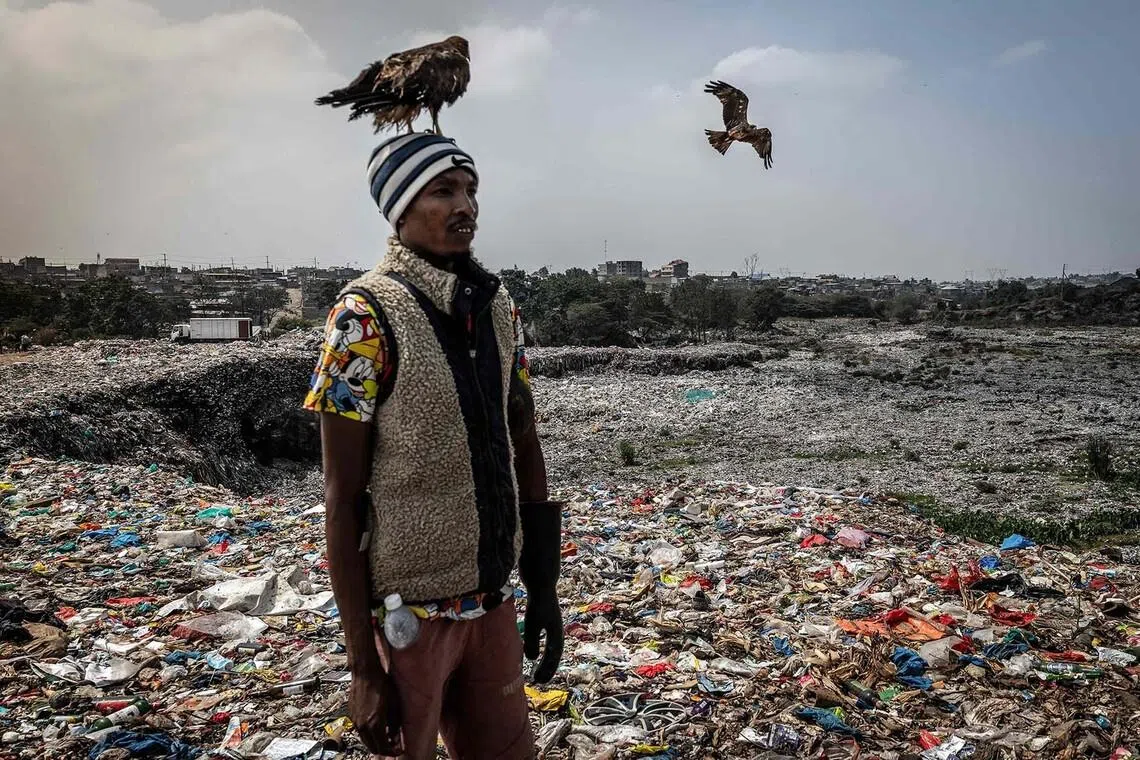 TOPSHOT - Rodgers Oloo Magutha, 28, popularly known as Nairobi Birdman, carries a Black Kite under his care on his head as wild birds fly overhead while working as a plastic waste collector at a dumpsite in Kayole, a low-income neighbourhood on the outskirts of Nairobi, on July 4, 2026. Once a homeless teenager surviving on the streets of Nairobi, Rodgers Oloo Magutha, 28, popularly known as the "Nairobi Birdman”, has transformed himself into one of Kenya's most unusual grassroots conservationists. Living in a modest one-room house in Nairobi's Kayole neighbourhood, Magutha has gained widespread attention for rescuing injured and orphaned wild birds —from crows, pigeons and owls to black kites and other raptors— which he rehabilitates and, whenever possible, releases back into the wild, while others remain under his care. His viral social media videos, showing him feeding the birds from the same plate, allowing them to roam freely inside his home and walking through the city with flocks of birds following him, have turned him into a neighbourhood celebrity. To support himself and the birds, Magutha earns a living collecting recyclable plastic from dumpsites and cleaning waste from Nairobi's rivers, saying the work reflects his commitment to protecting the environment. His unconventional approach to caring for wild birds has also brought him into conflict with Kenyan authorities, who argue that keeping protected wildlife in a residential area poses legal and public health concerns, while supporters see his work as a rare example of individual dedication to urban wildlife conservation despite his limited means. (Photo by Luis TATO / AFP)