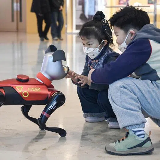 AI robotic pets, such as BabyAlpha, seen here interacting with children at a store in Nanjing, China, will get smarter over time. But the writer wonders if smarter toys are diminishing the value of childhood play.   