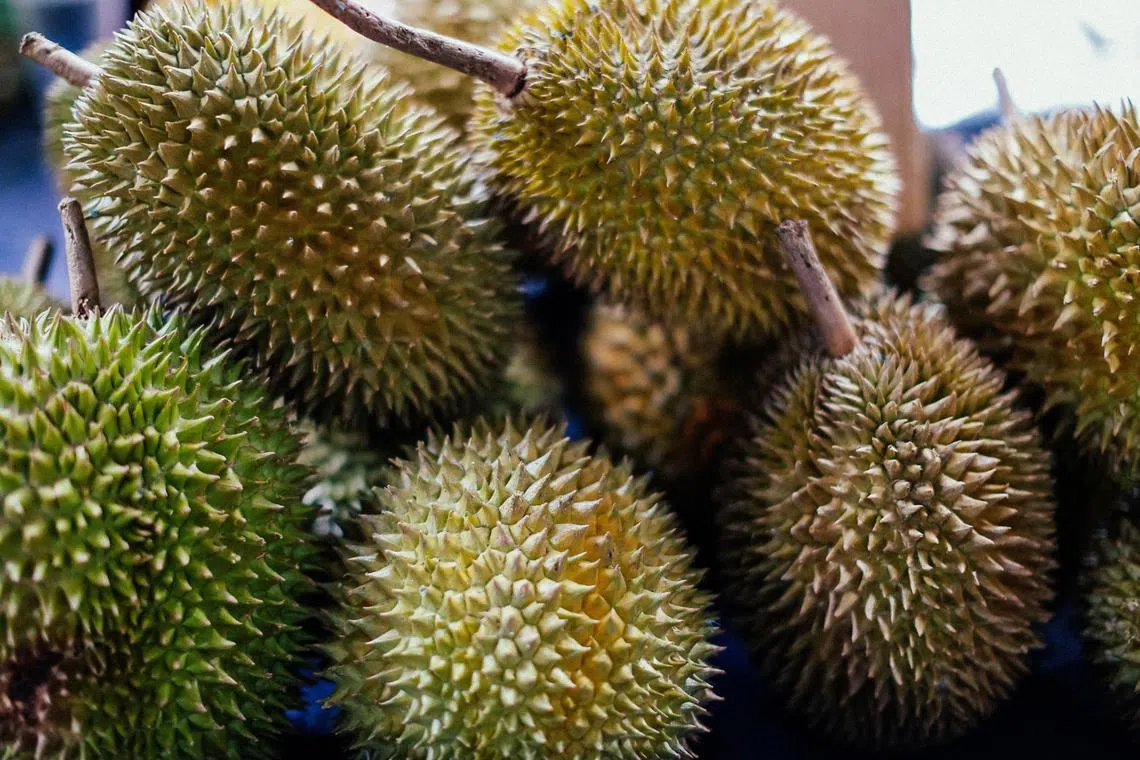 Durians have been popular among Chinese consumers in recent years. 