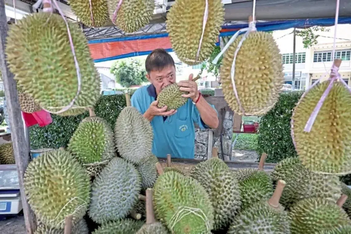 Durians arrive earlier and tastier in Penang