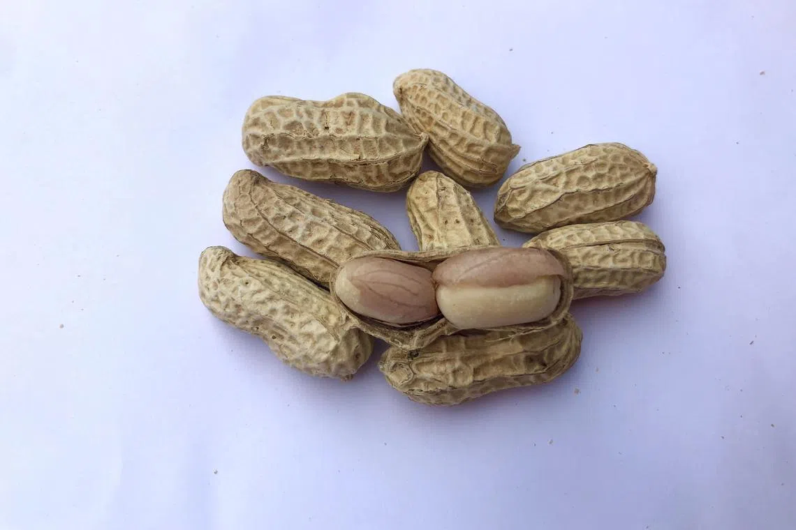 Xian Gan Hua Sheng (dry salted butter peanuts).