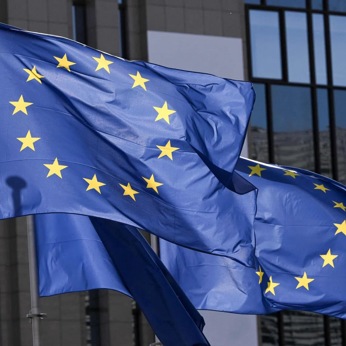 The EU's Digital Services Act (DSA) requires all social networks and search engines to clamp down on illegal and harmful content on their platforms.