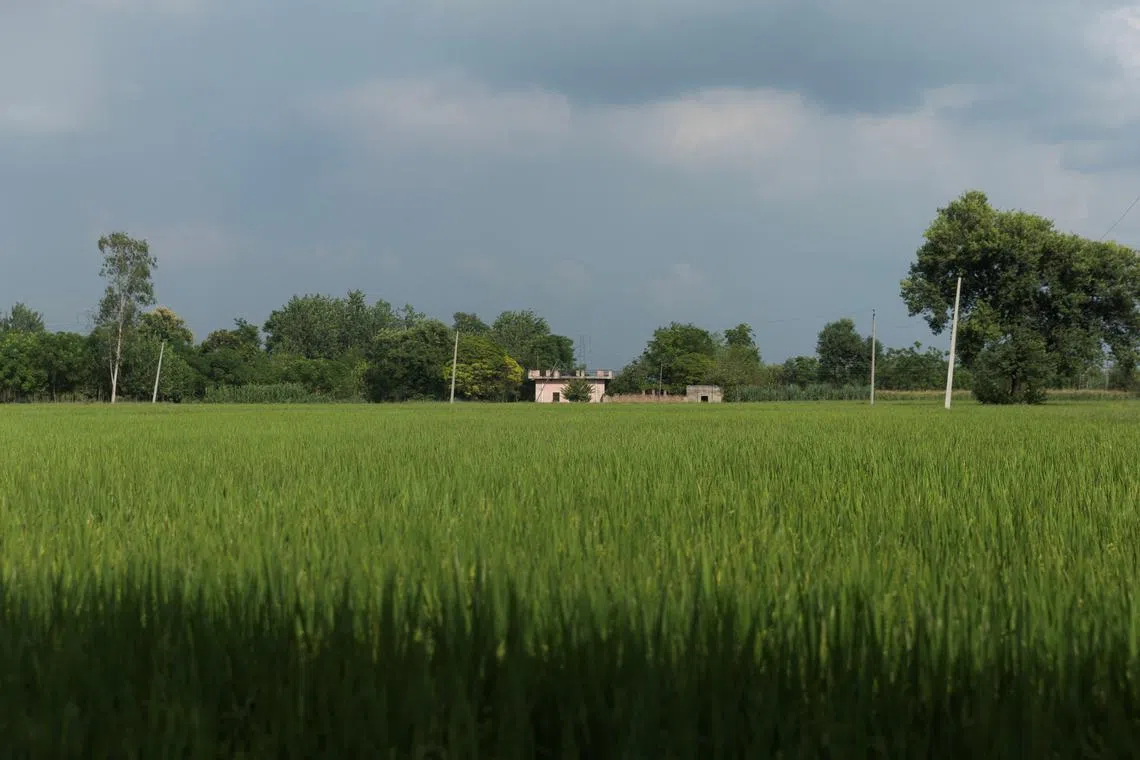 House of Sikh separatist leader Hardeep Singh Nijjar, is pictured at village Bharsingpura, in Jalandhar district of the northern state of Punjab, India, September 21, 2023. REUTERS/Adnan Abidi