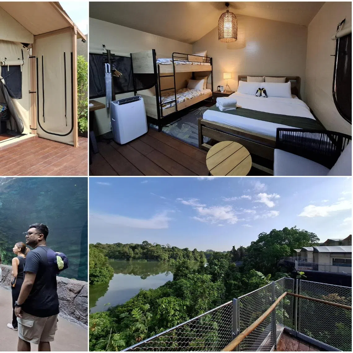 (Clockwise from top left) The air-conditioned safari-styled tents at Colugo Camp, an attraction in River Wonders and the Upper Seletar Reservoir.