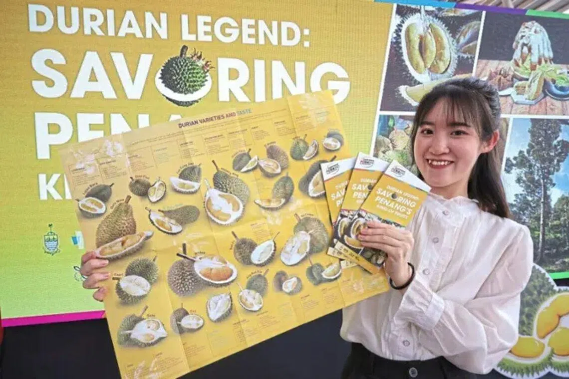 槟城提供一站式榴莲假期