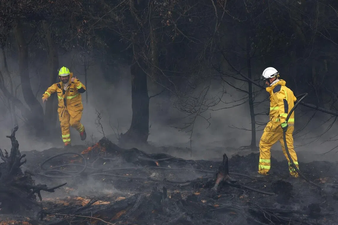 Around 500 firefighters and emergency crews have mobilised to contain the blaze, which broke out on Aug 14 for reasons still unknown in the High Fens park.