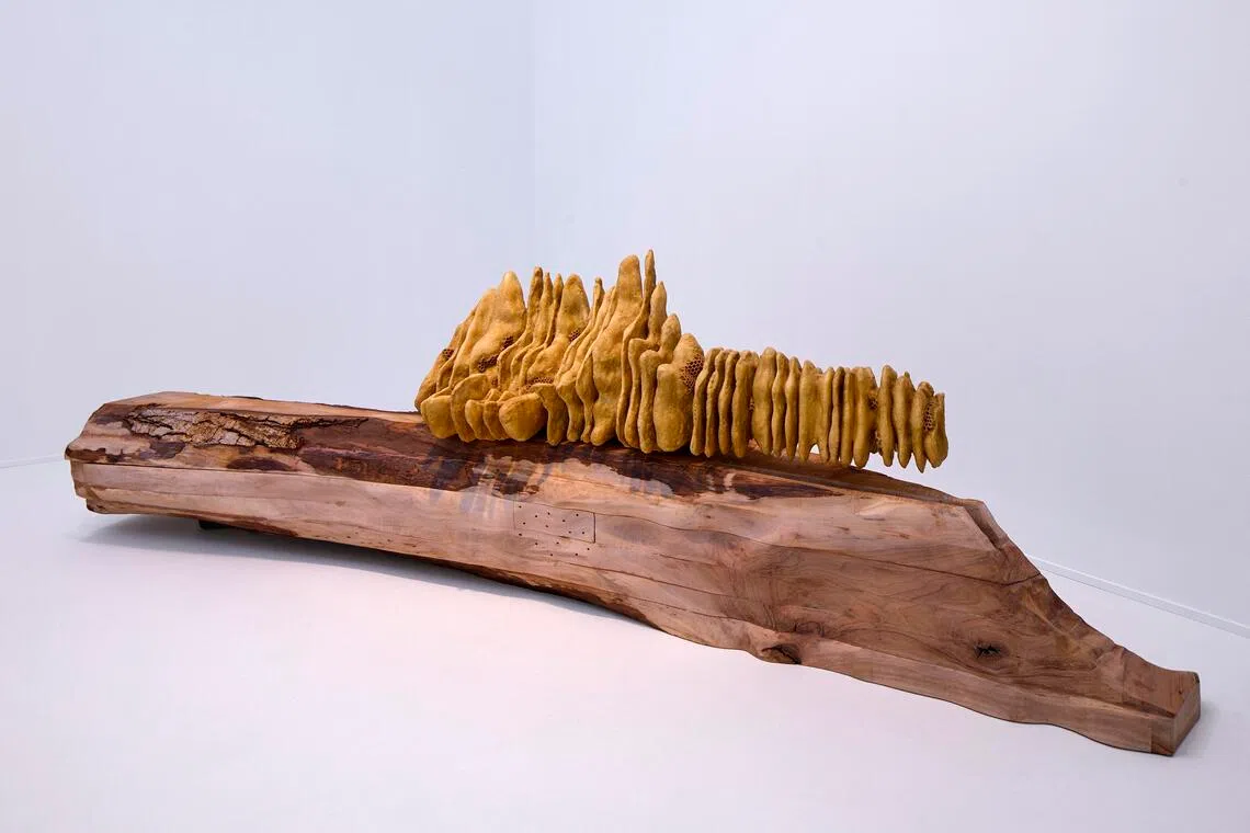 Installation view of Torches (The Honey Holder) by Marguerite Humeau for the 2026 Turner Prize at Middlesbrough Institute of Modern Art (MIMA).