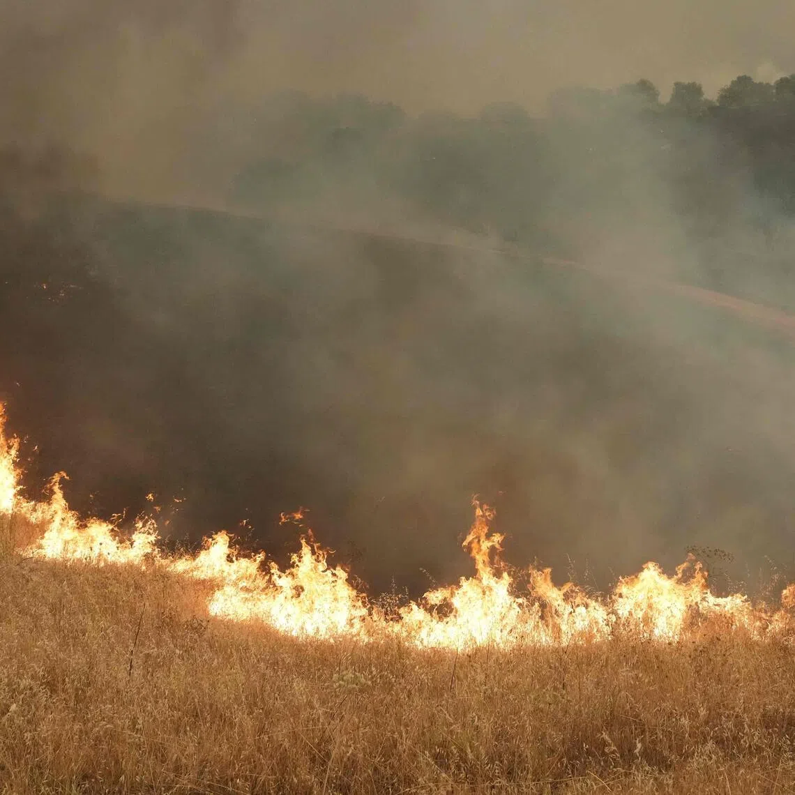 Spain declared a national emergency in the Madrid region on July 23 in the wake of several wildfires burning out of control.