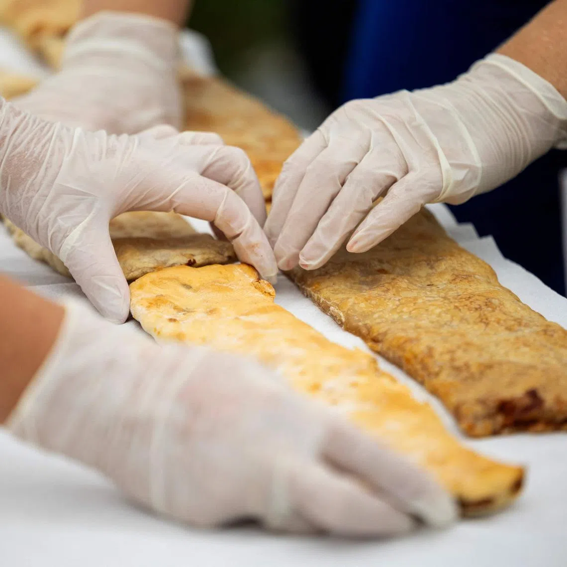 A total of 8,940 strudels were made, measuring slightly more than 3km, and bagging a new world record for a village in Croatia.