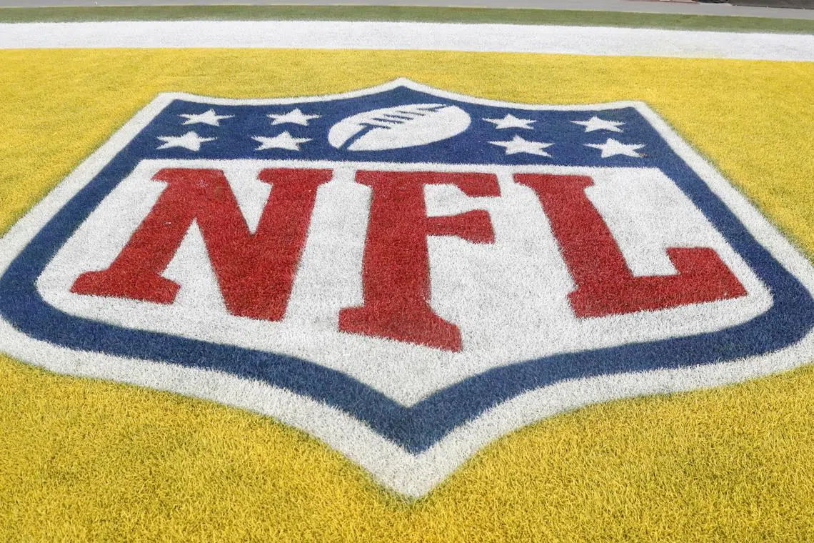 FILE PHOTO: Dec 7, 2023; Pittsburgh, Pennsylvania, USA; The NFL logo is painted in the end-zone as the Pittsburgh Steelers host the New England Patriots at Acrisure Stadium. Mandatory Credit: Charles LeClaire-USA TODAY Sports/File Photo