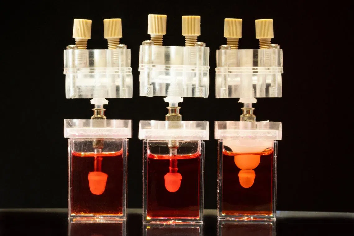 The models, each the size of a fingertip, are created using the stem cells from the blood of patients with heart failure.