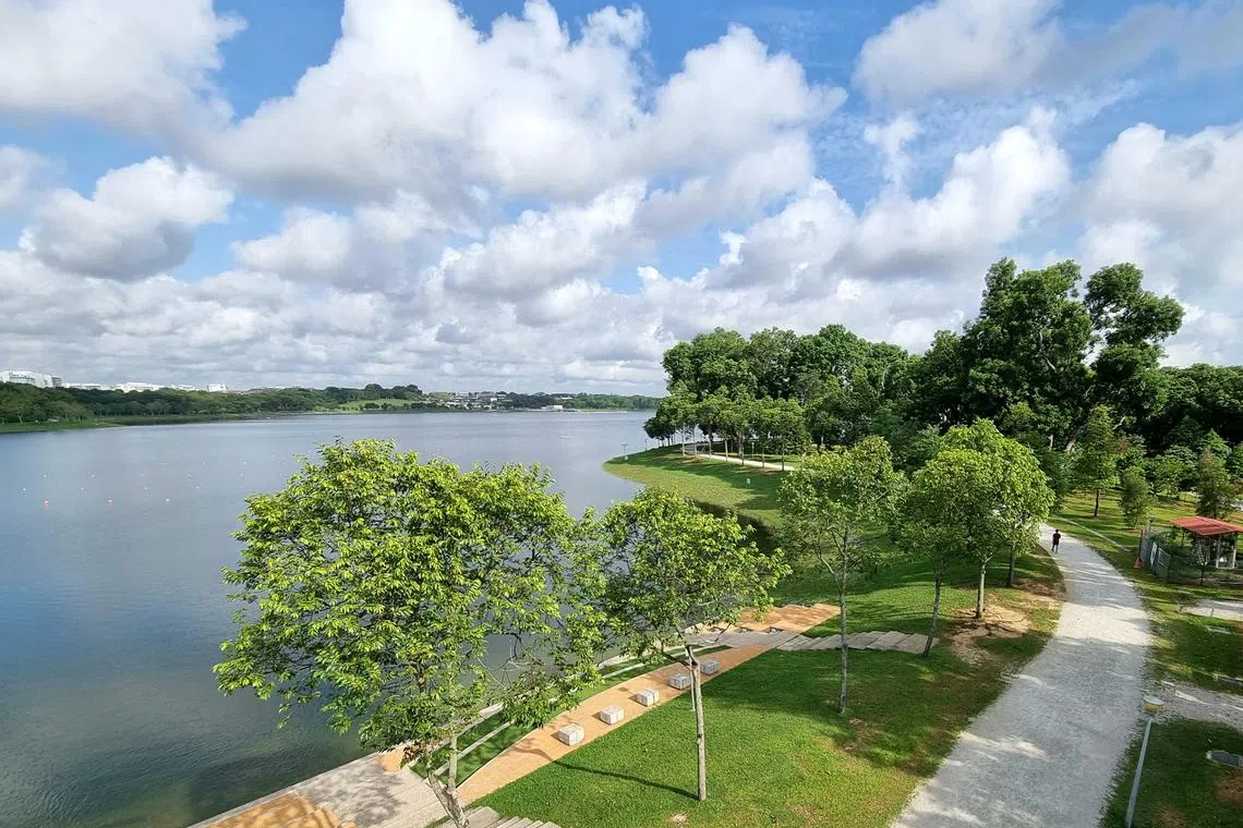 Bedok Reservoir a lush 47ha park surrounding a huge 88ha reservoir, looped by a 4.3km jogging track. 