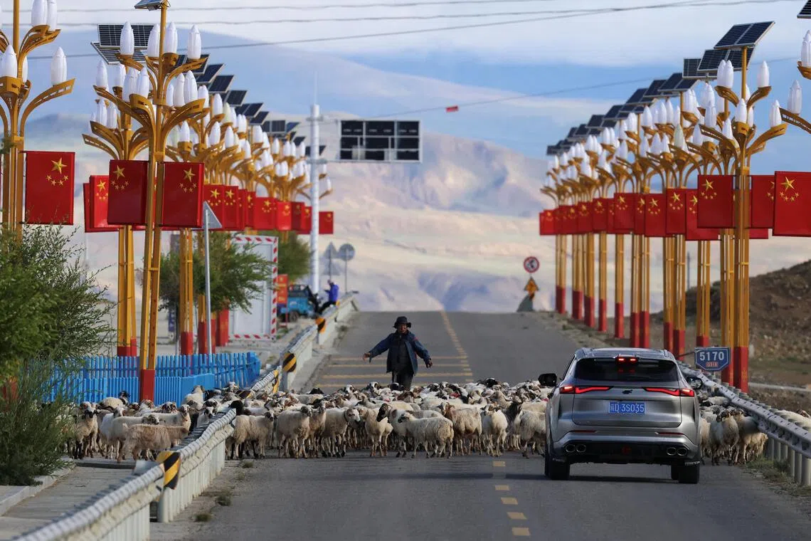 A shepherd guides a flock of sheep away from a road, during an organised media tour, in Shigatse, Tibet Autonomous Region, China September 6, 2026. REUTERS/Tingshu Wang/Pool
