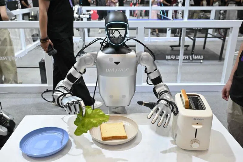 straitstimes.com - Unitree's robots have a long march to usefulness