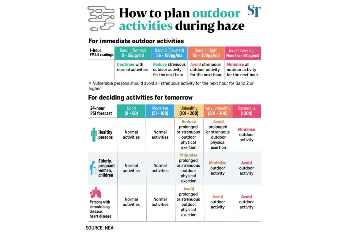 How to plan outdoor activities during haze.