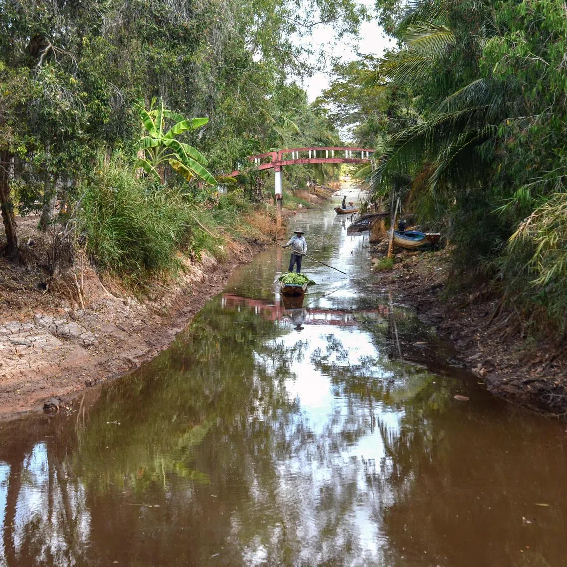 An almost dried up canal amid a long heatwave in southern Vietnam's Ca Mau province on Feb 24.