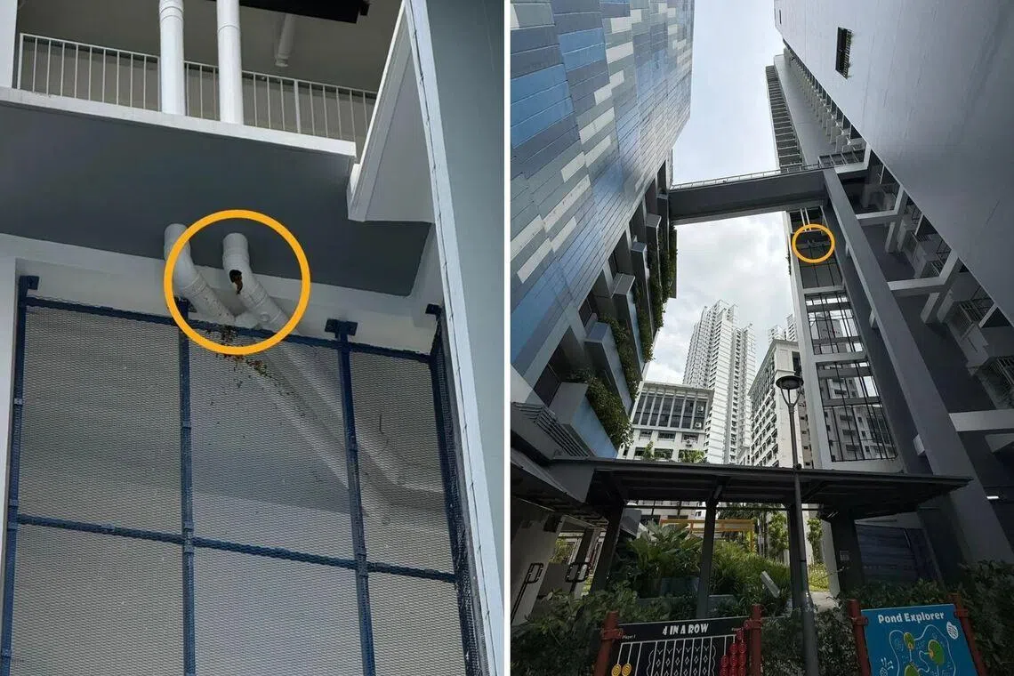 The Jalan Besar Town Council was informed of the pipe burst at Block 1B Kempas Road, at about 8.30am on Jan 21.