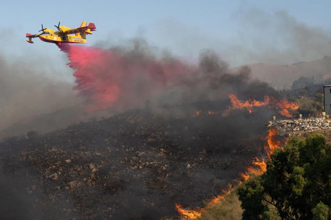 A Canadair aircraft drops flame retardant on burning vegetation in Sicily's Trapani, Italy August 27, 2023. REUTERS/Antonio Cascio     TPX IMAGES OF THE DAY     
