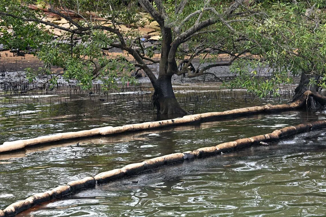 Conservationists say they are on alert for longer-term ramifications for nature as it could take time for the impacts of oil spills to manifest.