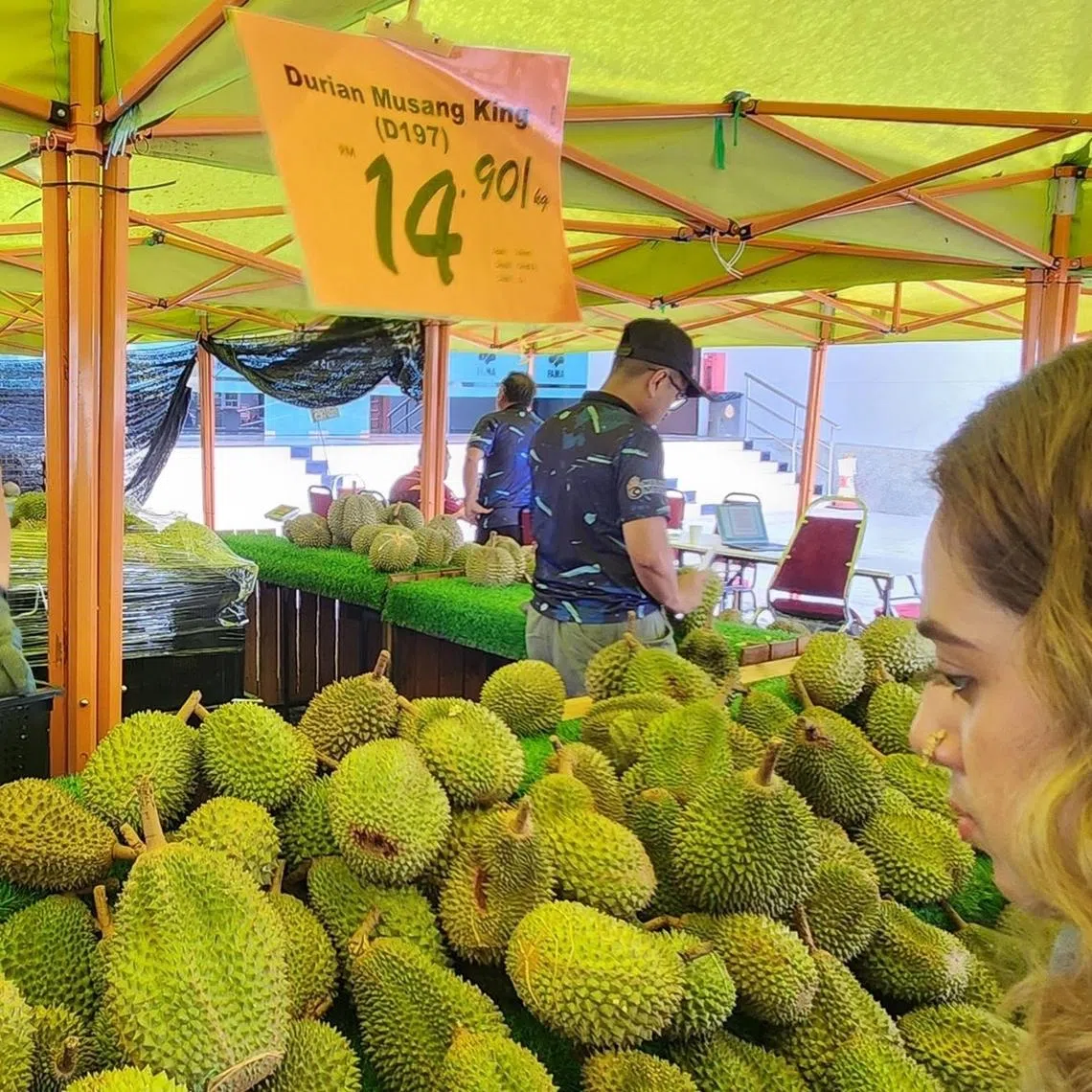 Malaysia is looking to transport fresh durians to China by land to cut logistics costs and expand its export market after a supply glut caused prices to tumble in 2026.