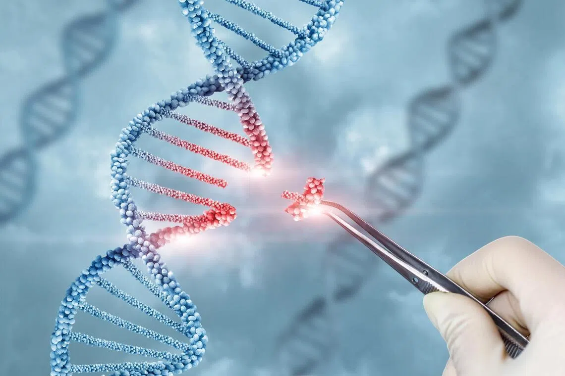 The experimental gene therapy was meant to fix a rare genetic condition that caused a delay in cognitive development.