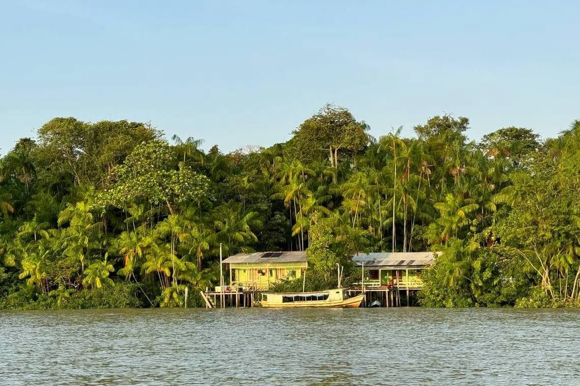S’pore youth at COP30 learn how Amazonian communities face environmental inequality, rely on nature
