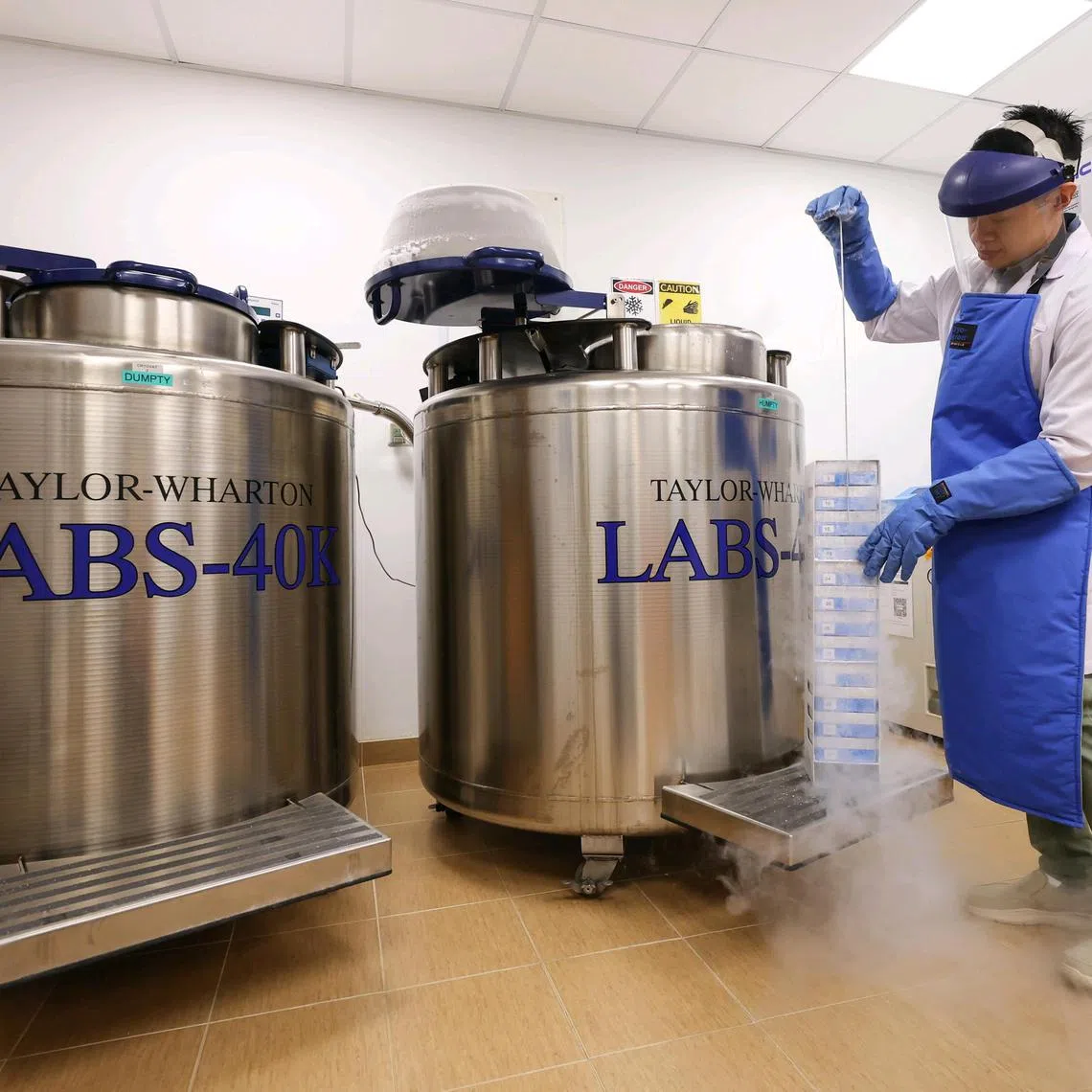 Frozen cell and tissue samples of flora and fauna are stored in cryopreservation vats at the NUS' Lee Kong Chian Natural History Museum.