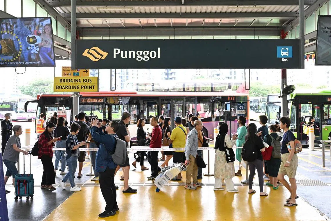 Free bridging bus service at Punggol Bus Interchange around 10.05am on Aug 15.