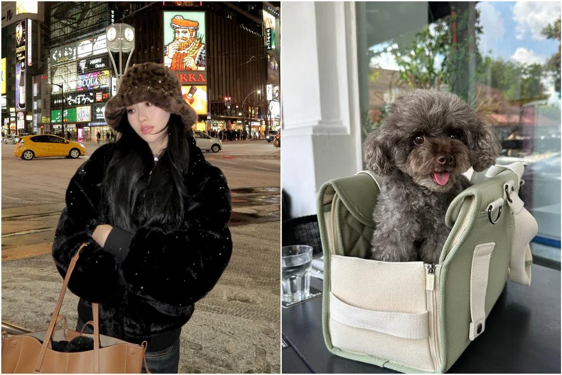 Sonia Tan (left) goes on weekend morning walks with her mini poddle, Miso.