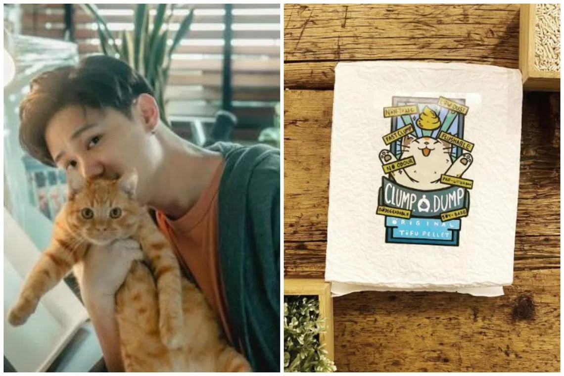 Clump A Dump has cute packaging and marketing materials designed by Chen Xi.