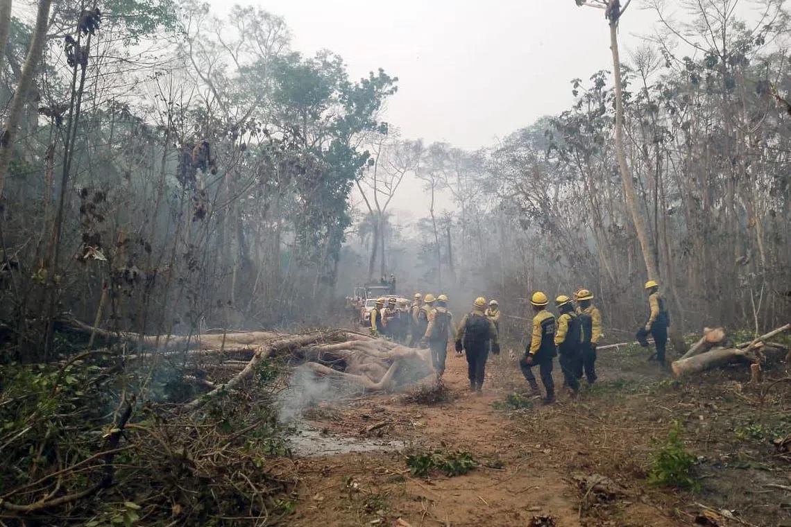 The report said there was an “alarming rise” in deforestation in Bolivia, which jumped 351 per cent between 2015 and 2023.