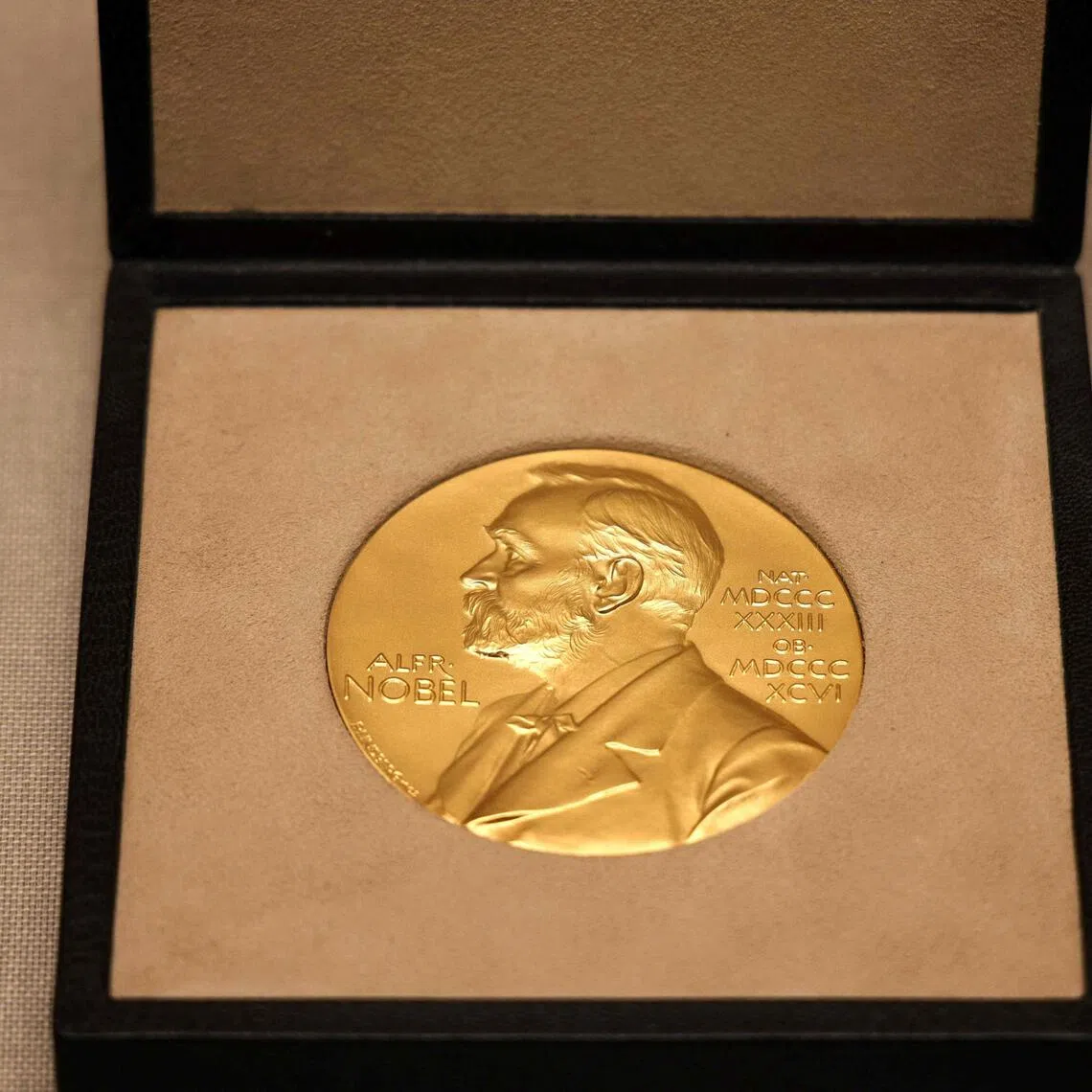 The institution has long been criticised for the over-representation of Western male authors since the prize was first awarded in 1901.