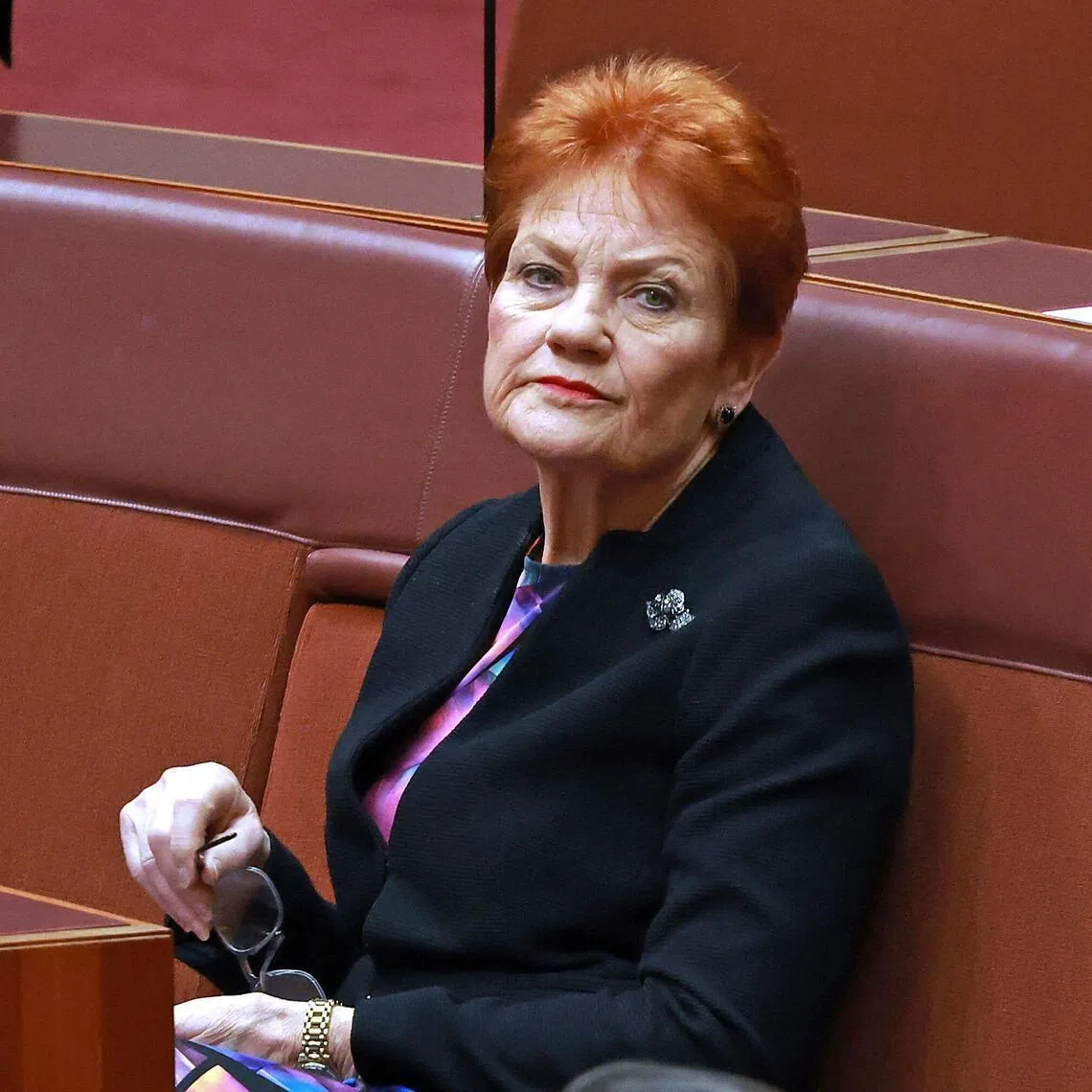 A judge in 2024 found Senator Pauline Hanson’s Twitter post breached Australia’s laws against racial discrimination.