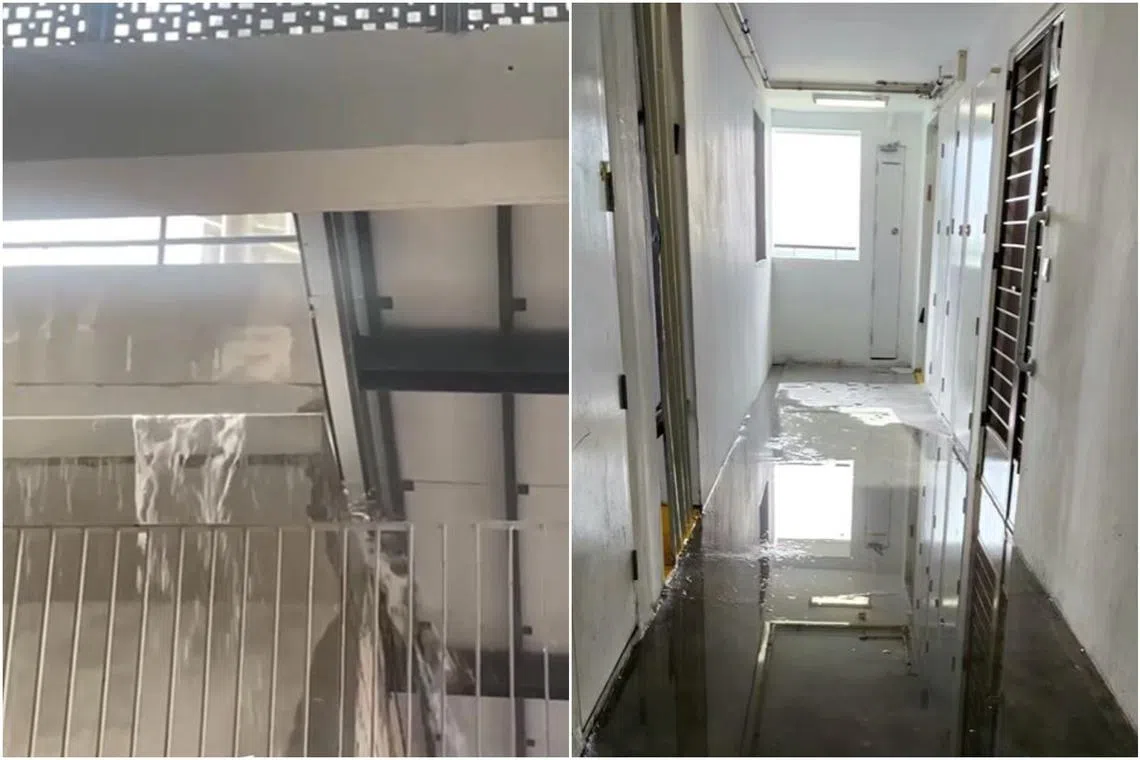 Residents at Fernvale Dew have raised concerns about shoddy workmanship and multiple defects of their new Build-To-Order flat.