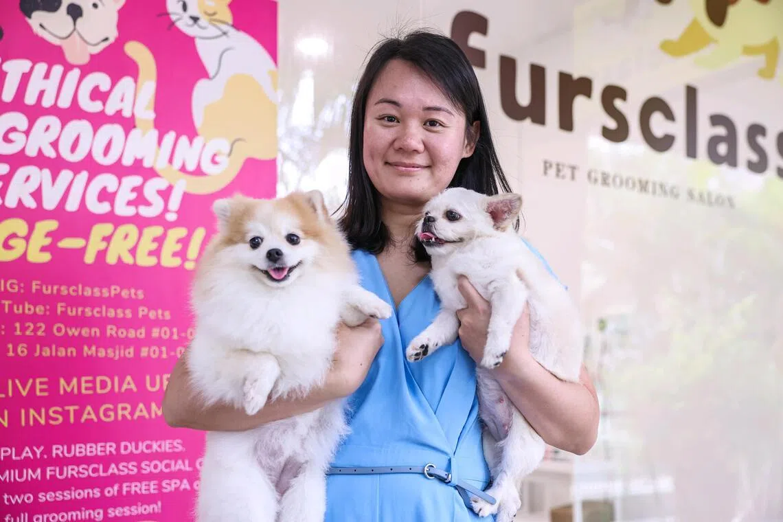 Profile of Fursclass Pet Grooming Salon director Michelle Lim, 39, with her dogs at the Kembangan Suites branch on March 19, 2026. ST PHOTO: BRIAN TEO